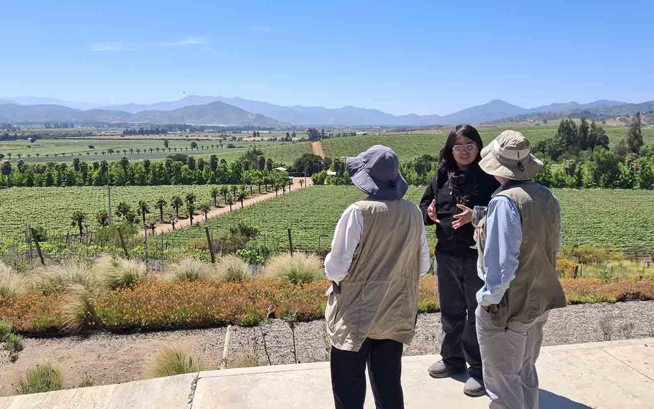 Kingston Family Vineyards