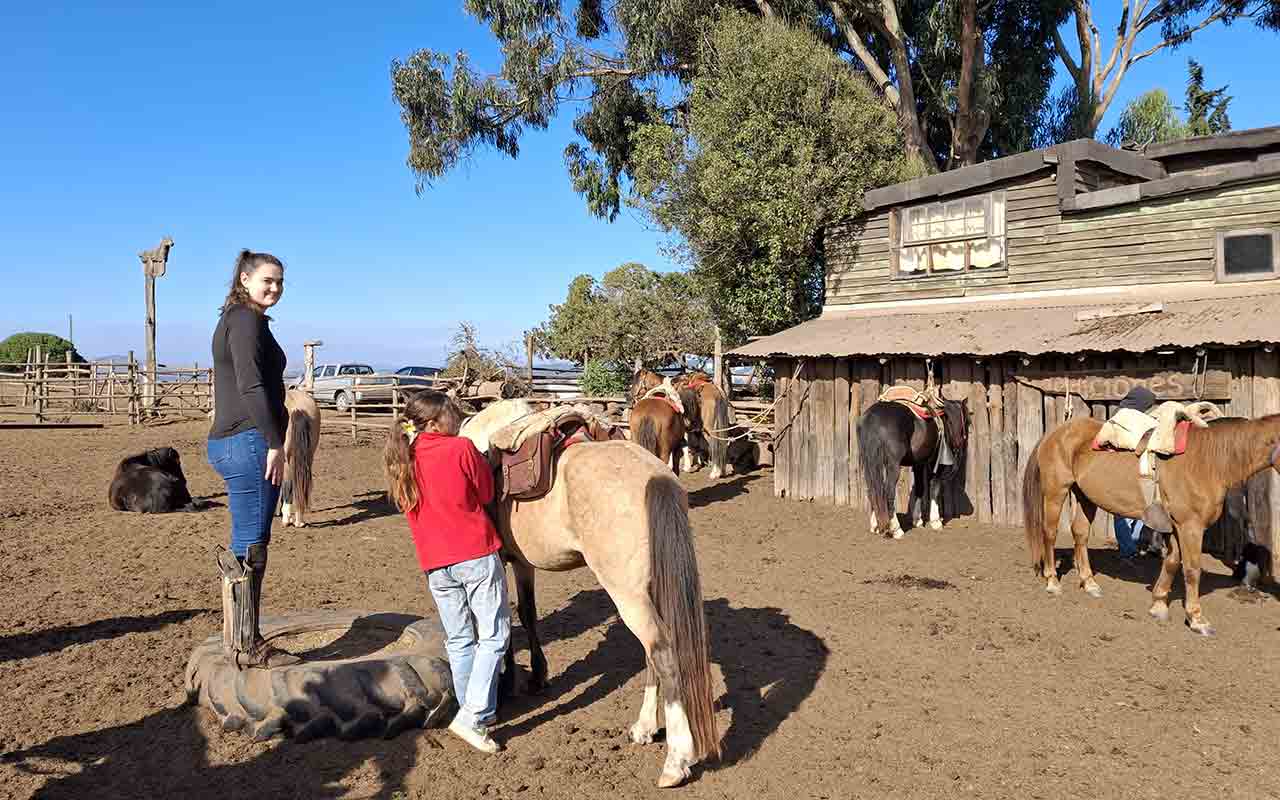 Beach Horseback Ride