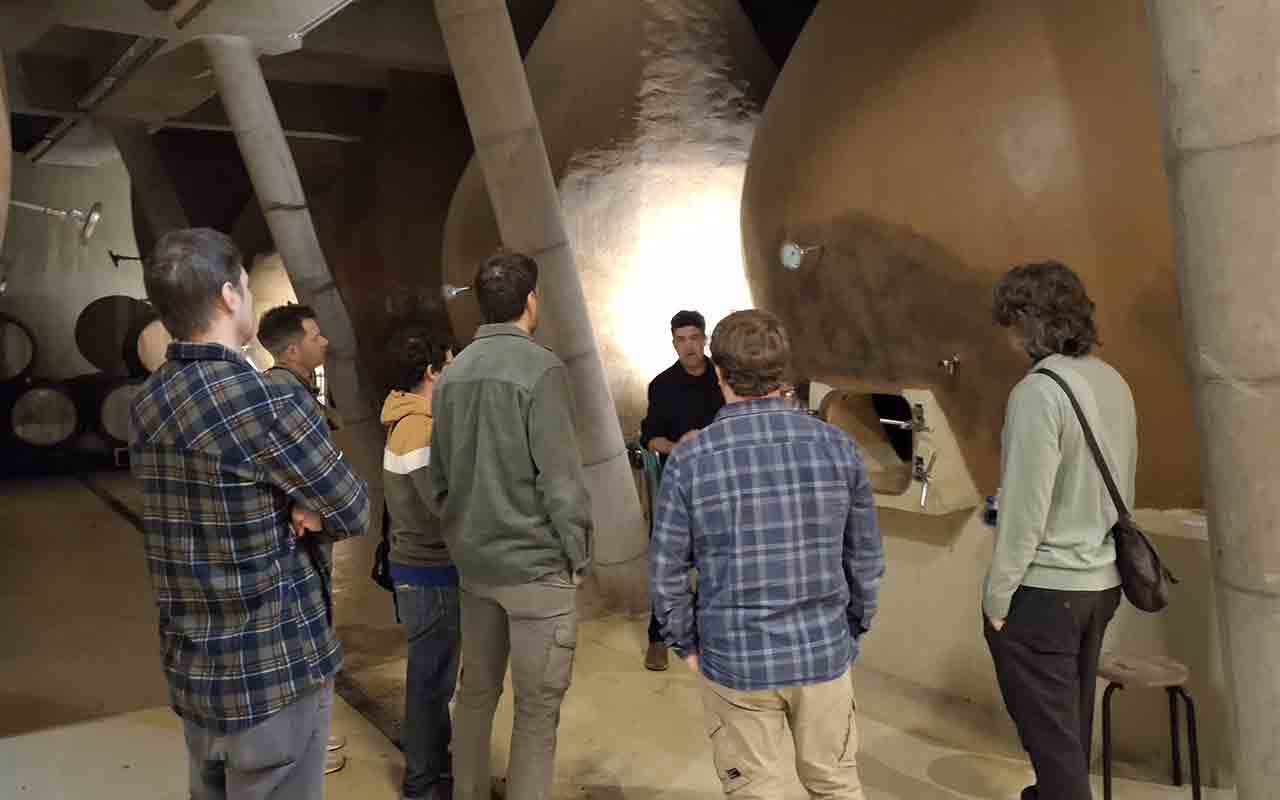 Bodegas RE