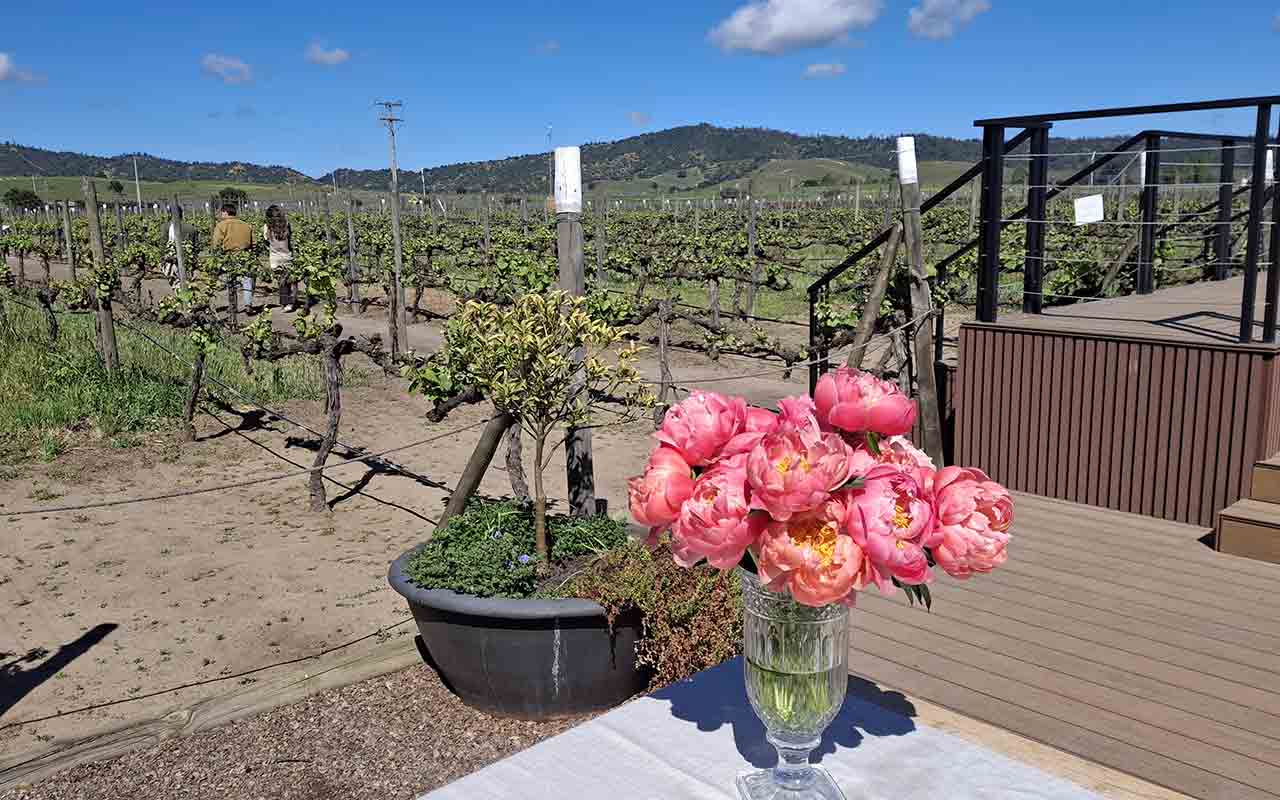 Vina Casas del Bosque