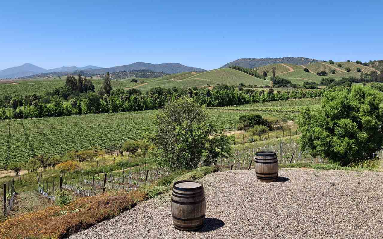 Kingston Family Vineyards