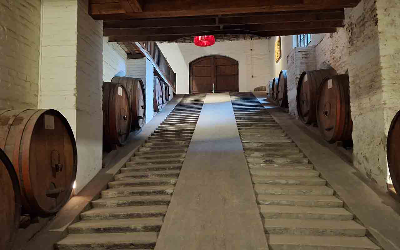 Errazuriz