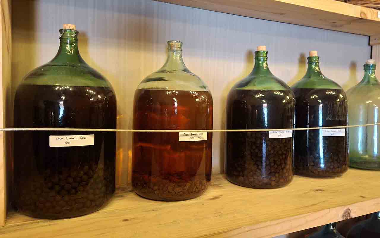 Bodegas RE