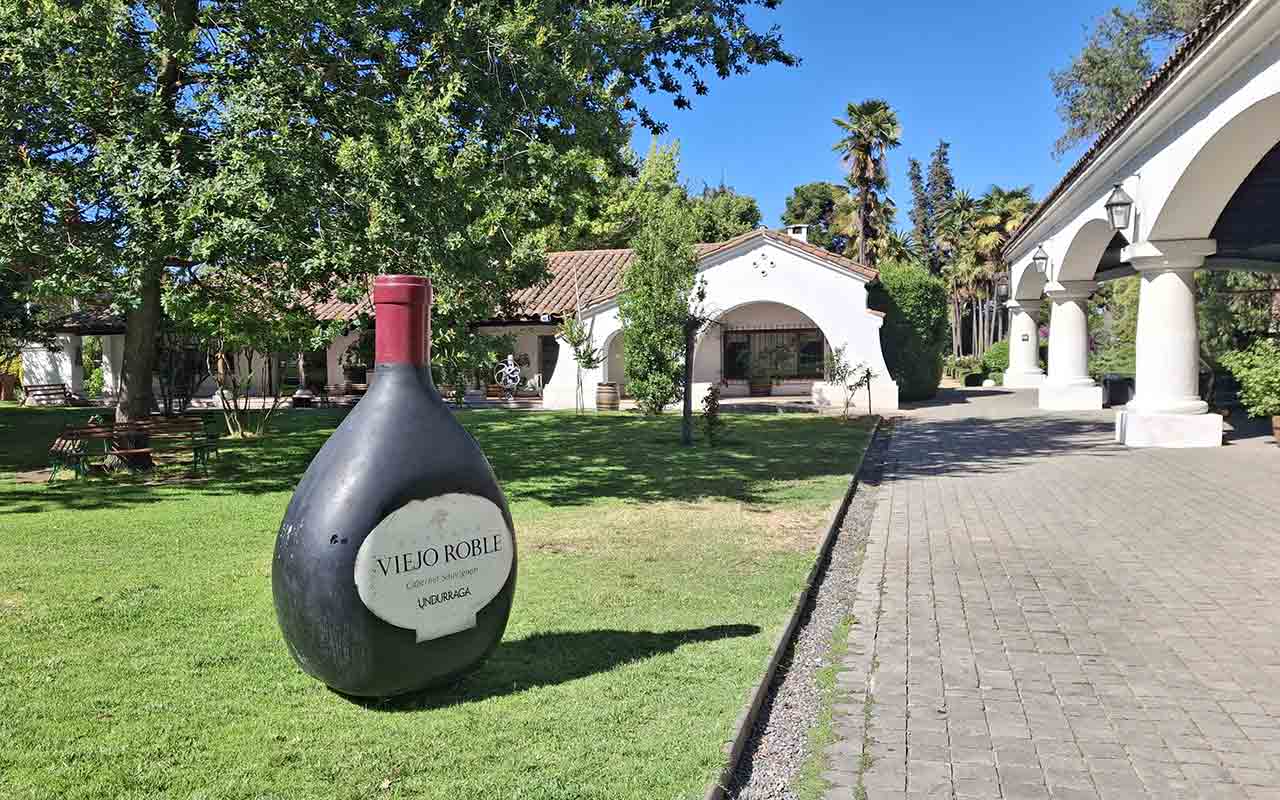 Vina Undurraga