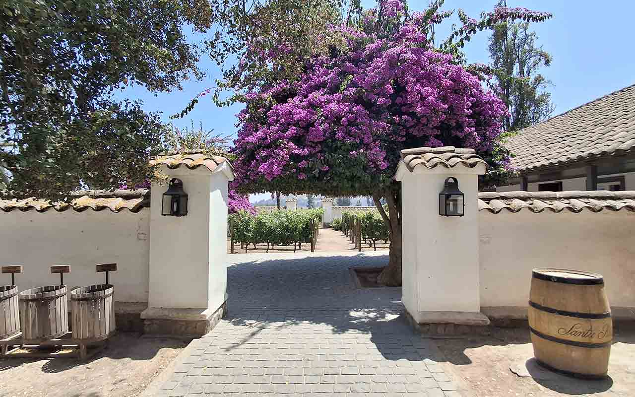 Santa Rita