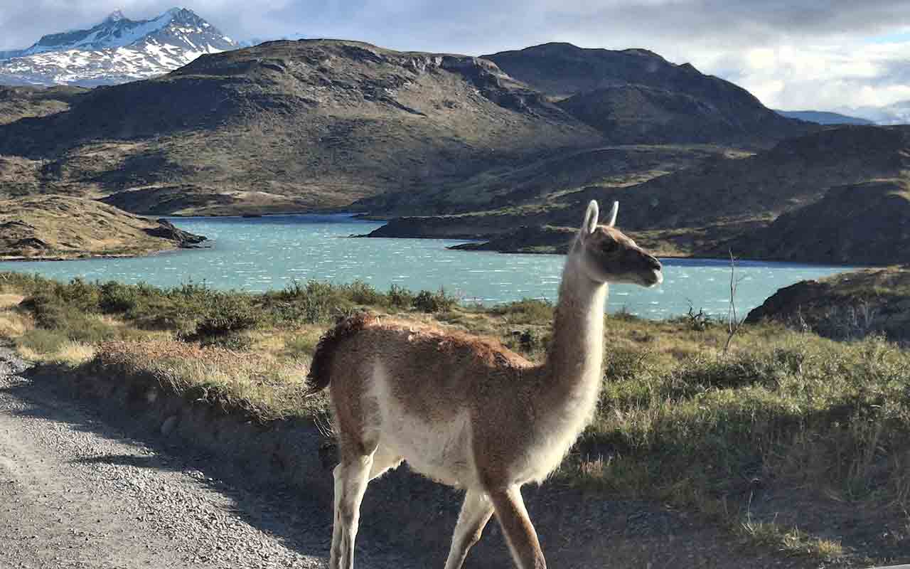 Patagonia