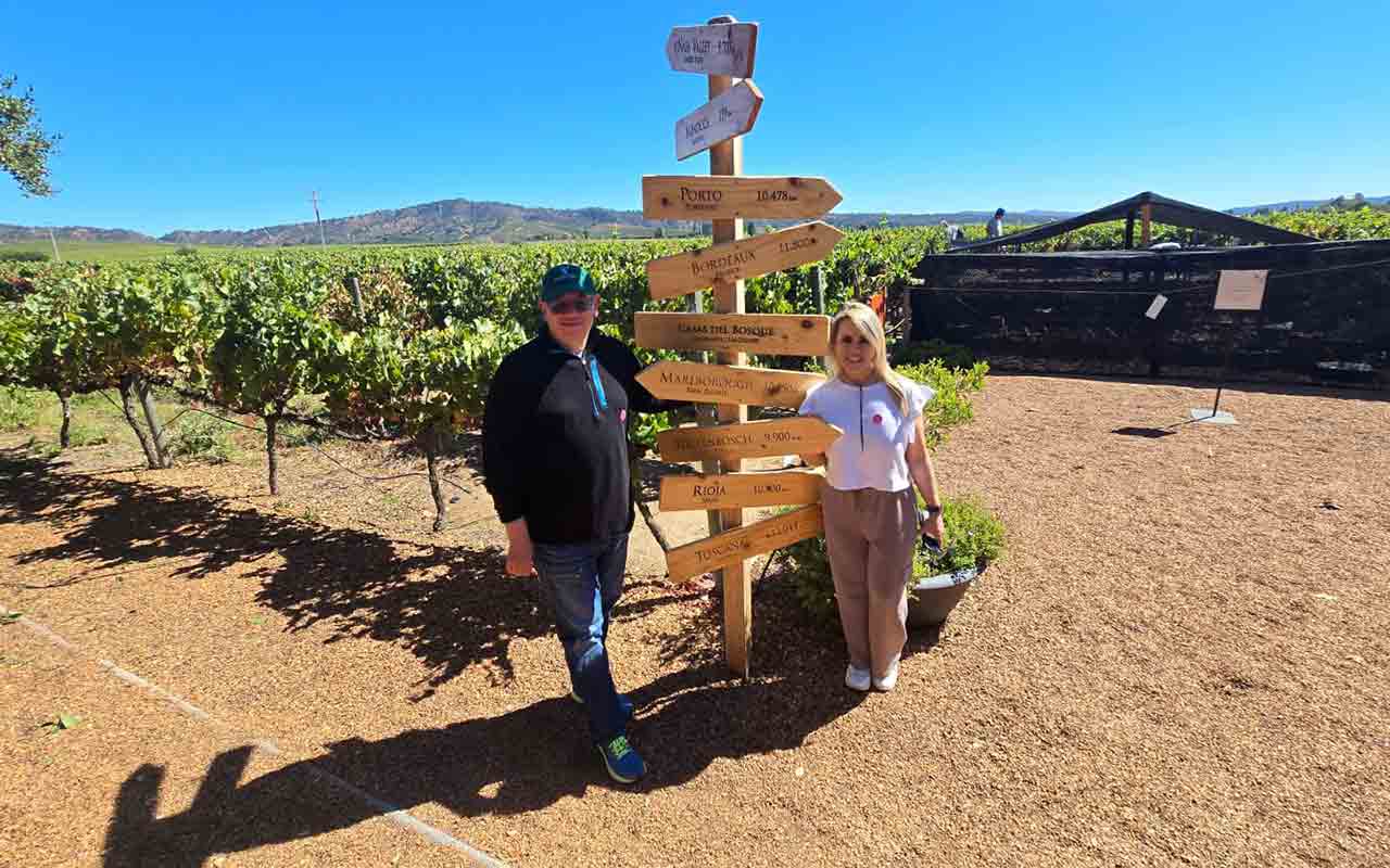 Vina Casas del Bosque
