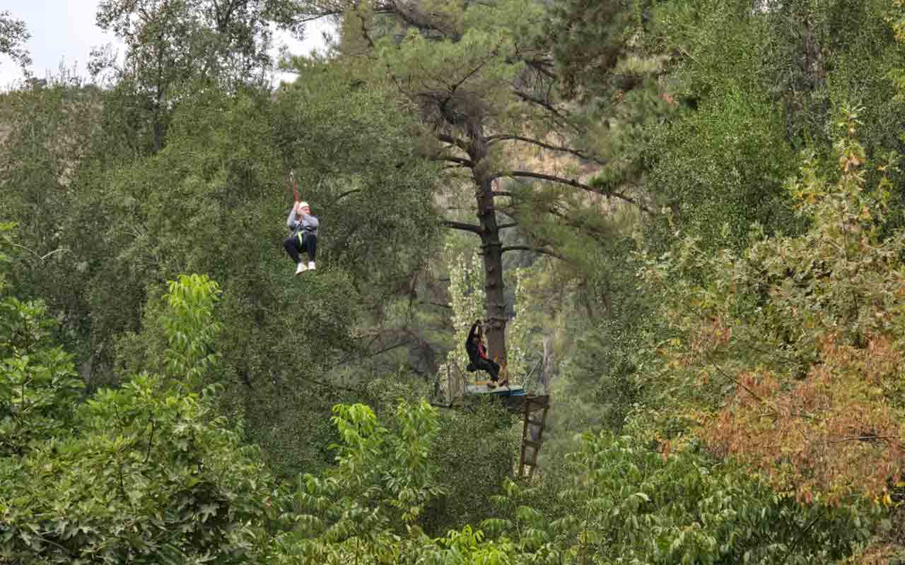 Zip Lining