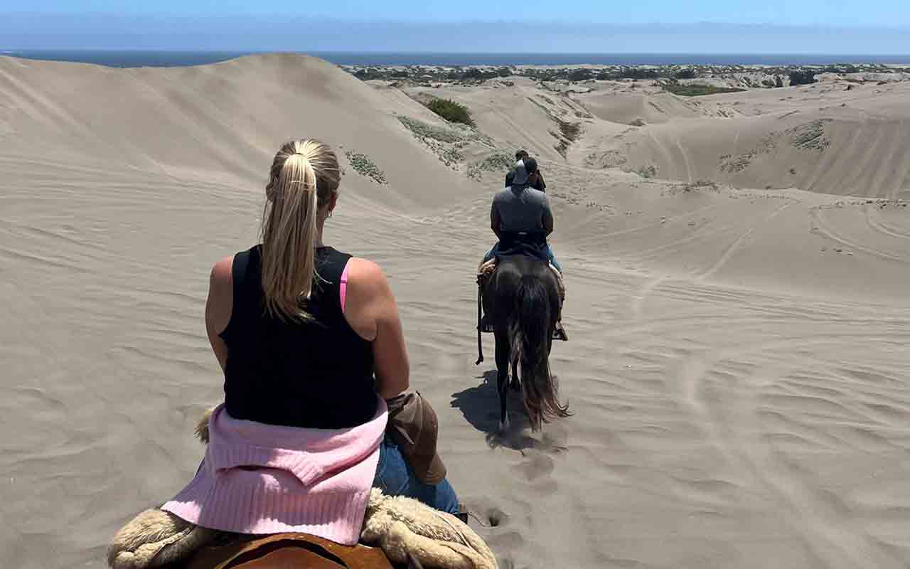 Beach Horseback Ride