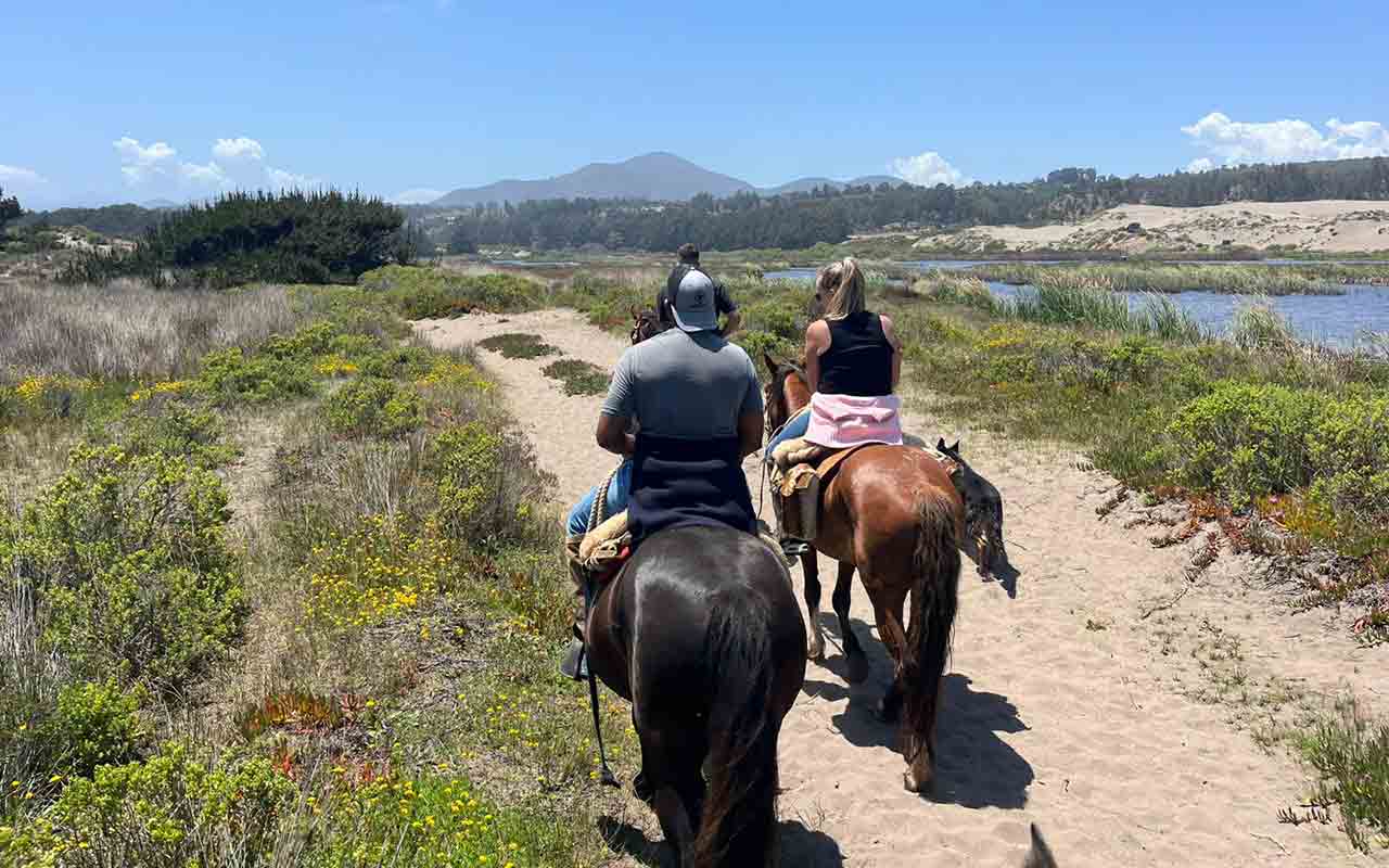 Beach Horseback Ride