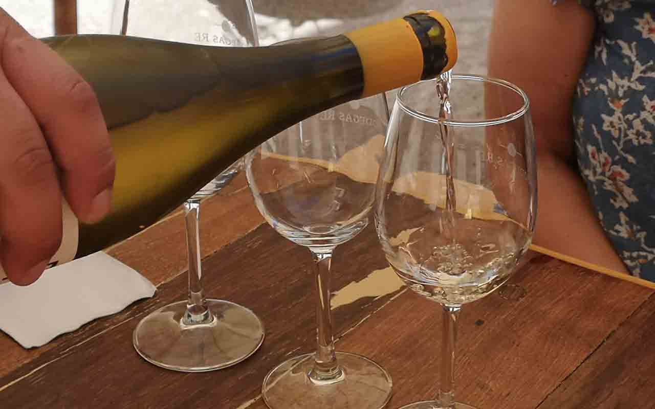 Bodegas RE