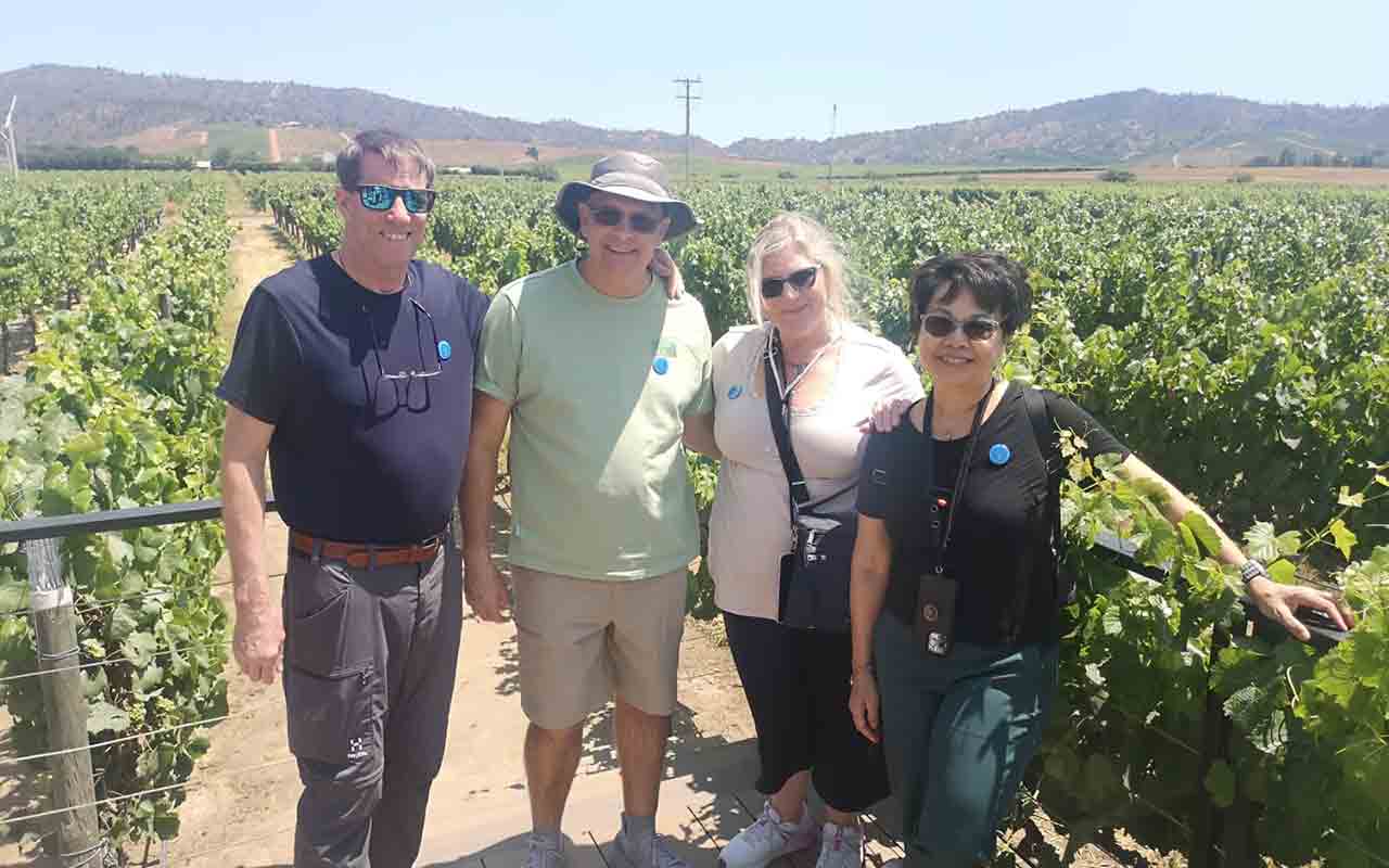 Vina Casas del Bosque