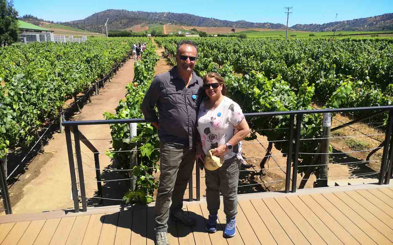 Vina Casas del Bosque