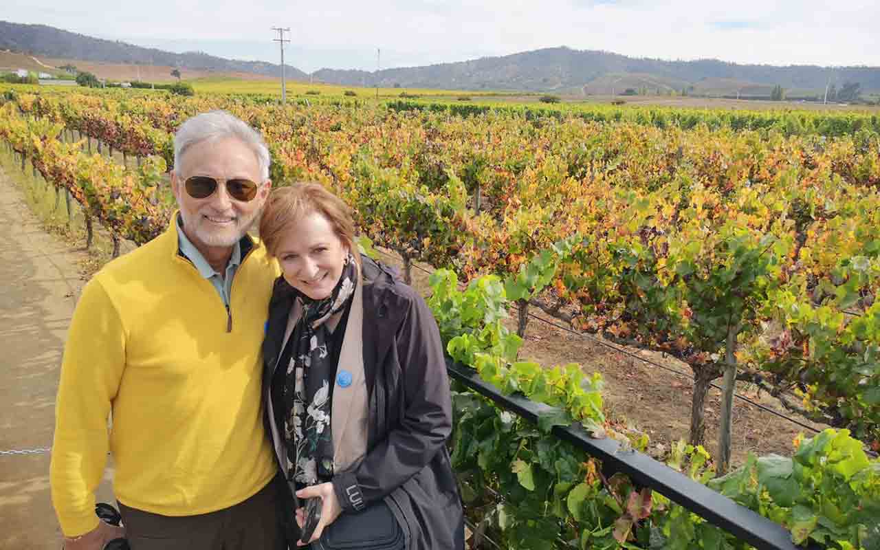 Vina Casas del Bosque
