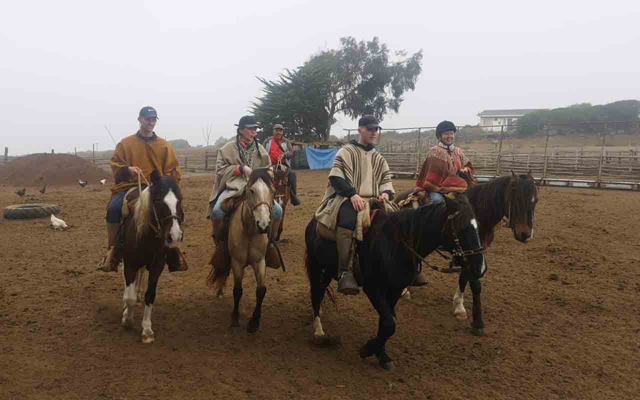 Beach Horseback Ride