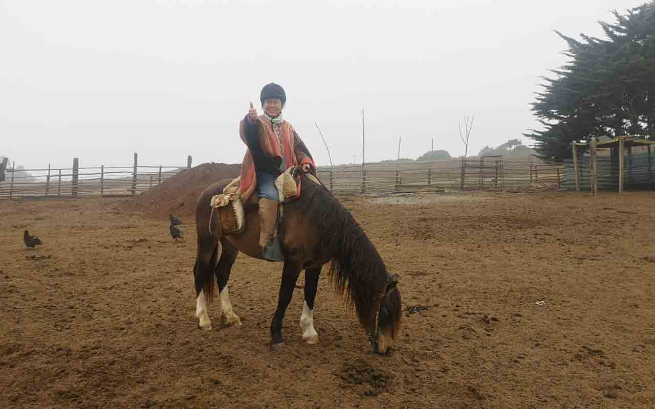 Beach Horseback Ride